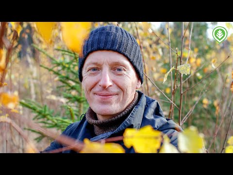 8 sanan mielikuvatesti Markku Remekselle | Metsälehti