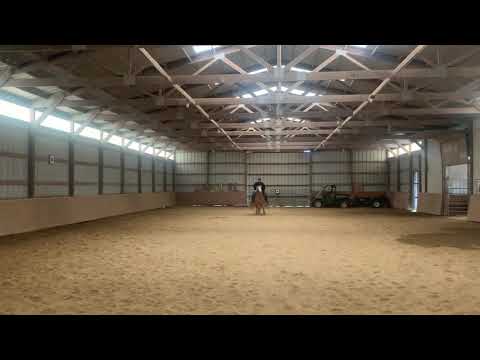 WDAA Basic 1- Brooke Powell