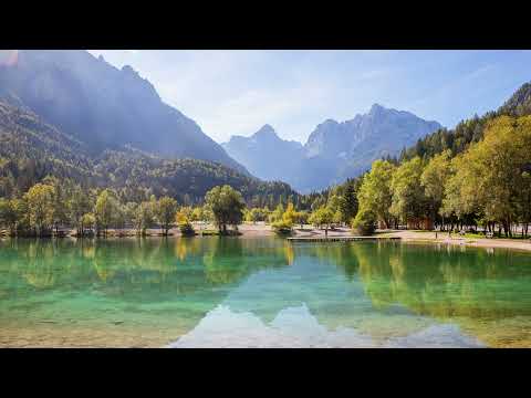 11656   Electric Youth   Debbie Gibson