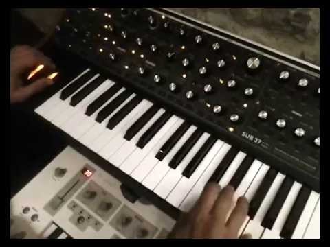 Moog Sub37 turns into 