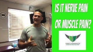 How To Differentiate Nerve Pain vs. Muscle Pain