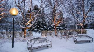 Winter's Timeless Beauty at the Chicago Botanic Garden (Widescreen 16:9)