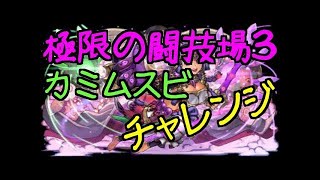 【パズドラ】カミムスビと行く闘技場3