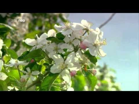 Terra X - 092 - Expedition nach Atlantis