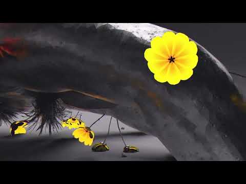 MAKJ & PURARI - Beautiful Life