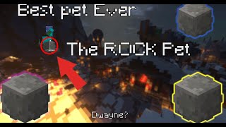 Why the ROCK pet is the BEST Pet in Hypixel Skyblock