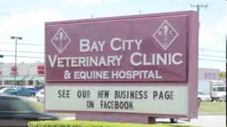 preview picture of video 'Bay City Veterinary Clinic & Equine Hospital - Short | Bay City, TX'