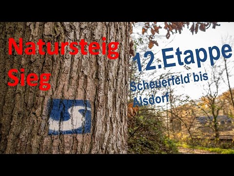 Natursteig Sieg - 12. Etappe - Scheuerfeld bis Alsdorf wandern.