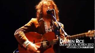 Damien Rice - Amie  (LIVE in Seoul, Korea 2012)