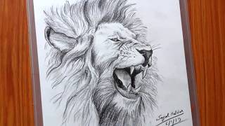 Drawing a Lion  Easy pencil sketch