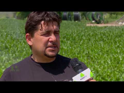 Portret de fermier Catalin Corbea, Prundu