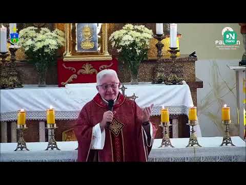 Padre critica cães em missa no CE: 'Cachorro deitado com carrapato no pé do altar'