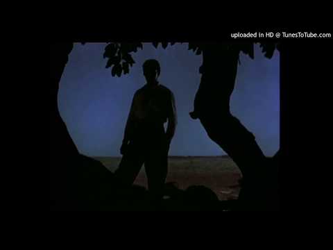 Today's Tango Is... Penas - Edgardo Donato Voc 29-11-1933