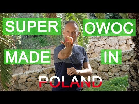Rzepka ścięgno mięśnia czworogłowego uda Leczenie bólu w mięśniach nóg