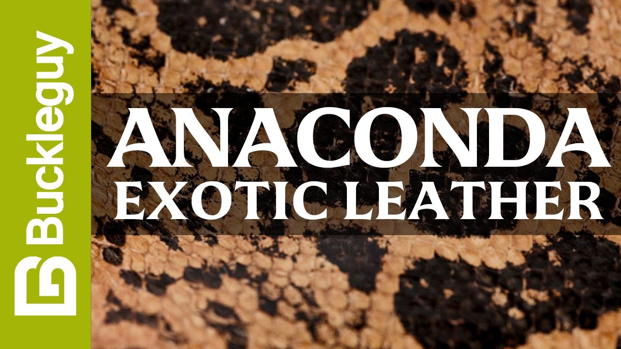 Exotic Leather, Anaconda | Full Grain Leather Demo