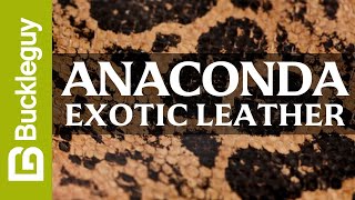 Exotic Leather, Anaconda | Full Grain Leather Demo