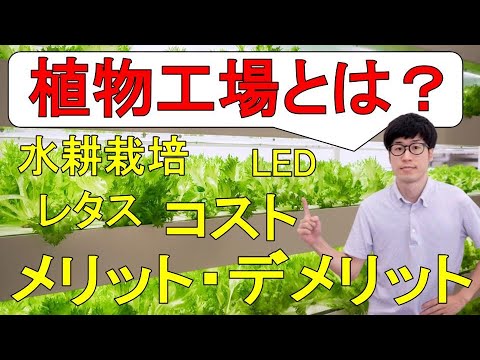, title : '植物工場とは？メリット・デメリットを解説【LED水耕栽培,レタス生産のコスト】'