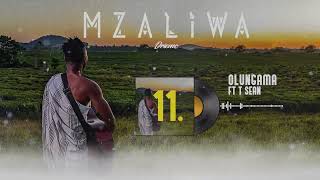 Download lagu DRIEMO ft T-SEAN - OLUNGAMA ( audio visualizer)#Mzaliwa #malawi #zambia mp3