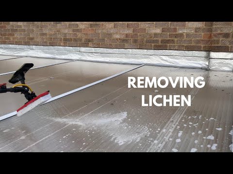 Removing Lichen