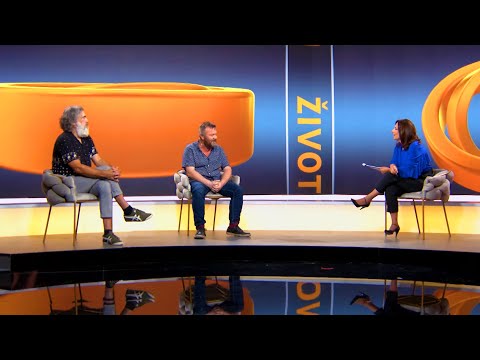 Život u ringu: U vrtlogu politički korektnog