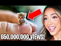 Worlds *MOST* Viewed YOUTUBE Shorts! (VIRAL CLIPS)