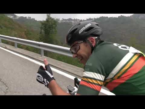 TORNA LA BERGHEM#MOLAMIA