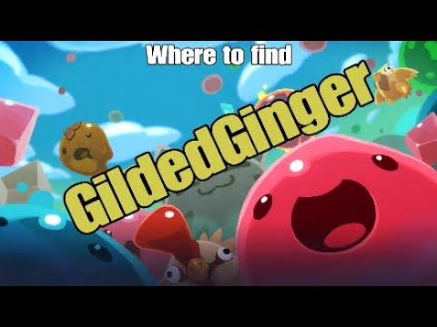 Where to find the Gilded Ginger