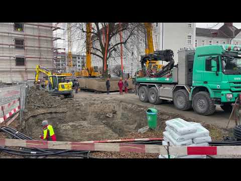 Erzdiözese Salzburg ließ 106 Jahre alte Linde beim Borromäum versetzen