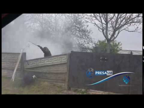 incendiu in cimitir Satu Mare