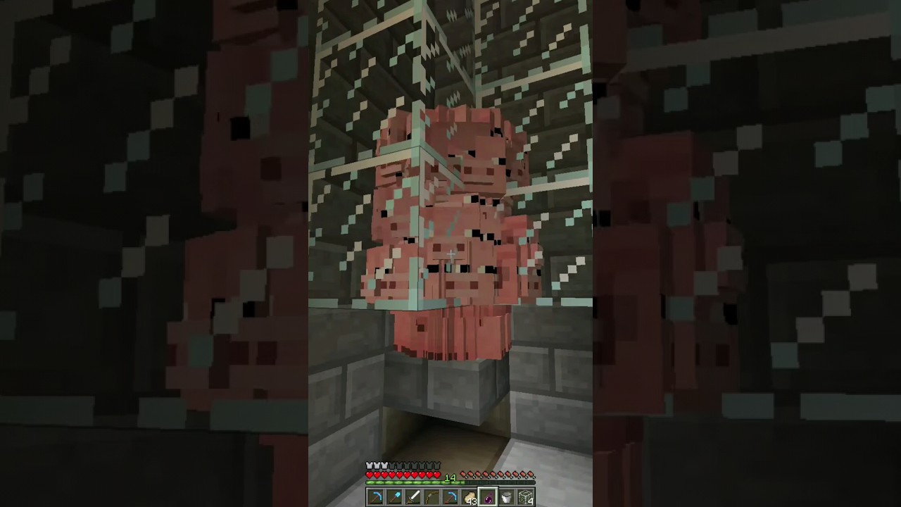 Pig Spawner Farm #minecraftbeta