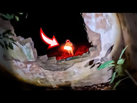 FOMOS ATACADOS PELO APICULTOR E O PIOR ACONTECEU