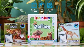 Asmodee BrainBox - zvířata