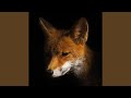 Foxwell