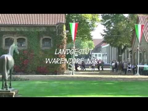 LANDGESTÜT WARENDORF NRW 2014
