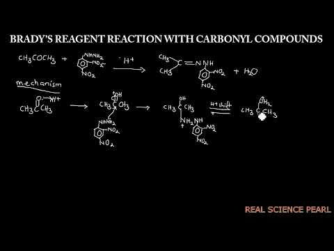 Brady's reagent reaction with carbonyl compounds: Organic chemistry