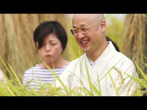 【里山十帖】「黄金の茶会」マクロビオティック点心で実りの秋を楽しむ
