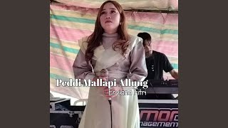 Download lagu Peddi Mallapi Allung mp3 Download lagu Peddi Mallapi Allung mp3
