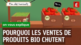 POURQUOI les ventes de produits bio CHUTENT