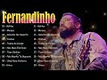 Fernandinho Gospel Hits 20 Sucessos De Fé E Adoração