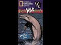 Opening To Really Wild Animals Deep Sea Dive 1994 VHS