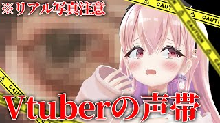 【閲覧注意】VTuberのリアル 声 帯 写 真（ガチ） 見せます・・・【我部りえる/あおぎり高校】