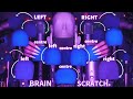 ASMR Mic Scratching Brain Scratching With 20 MICS No Talking For Sleep With Long Nails 1H 4K