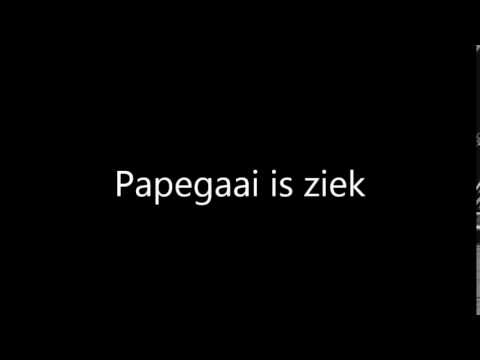 Papegaai Is Ziek video