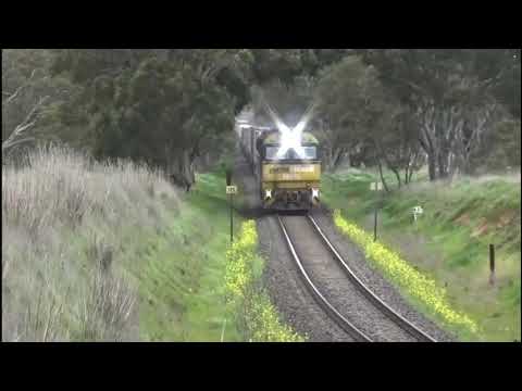 NR15 NR63 on 6MP4 in Murgheboluc