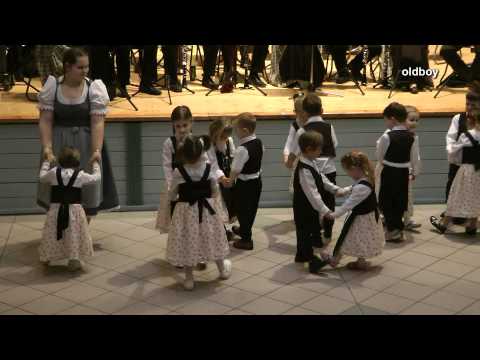 Táncházi bemutató - Vecsés