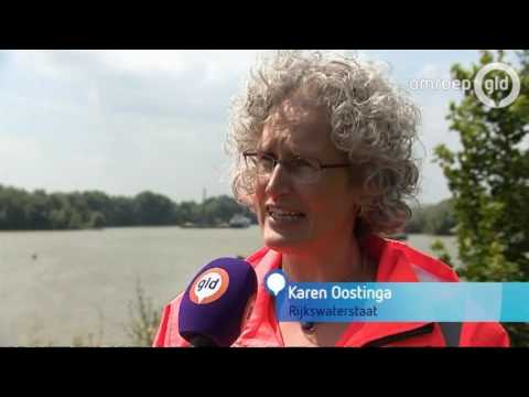 GLD VANDAAG  9 juli 2016 - Omroep Gelderland