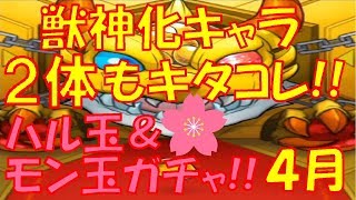 【モンスト】モン玉レベル5＆3＆ハル玉ガチャ!!獣神化キャラ２体もキタ!!【ウエナンチョ&朧 4月編】