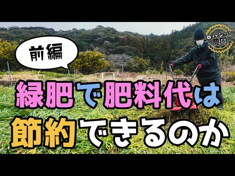 秋に蒔く緑肥は何ですか？当店TOP3をお届けします！  庭園
