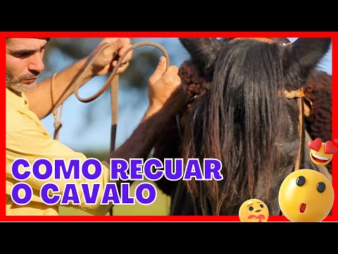 Como ensino meu CAVALO a RECUAR?