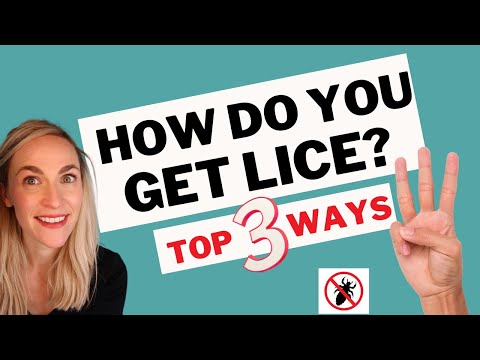 How You Get Lice  Video Tutorial!
